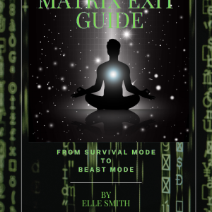 The Matrix Exit Guide